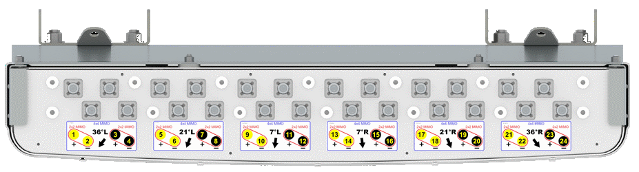 MBM6Bottom